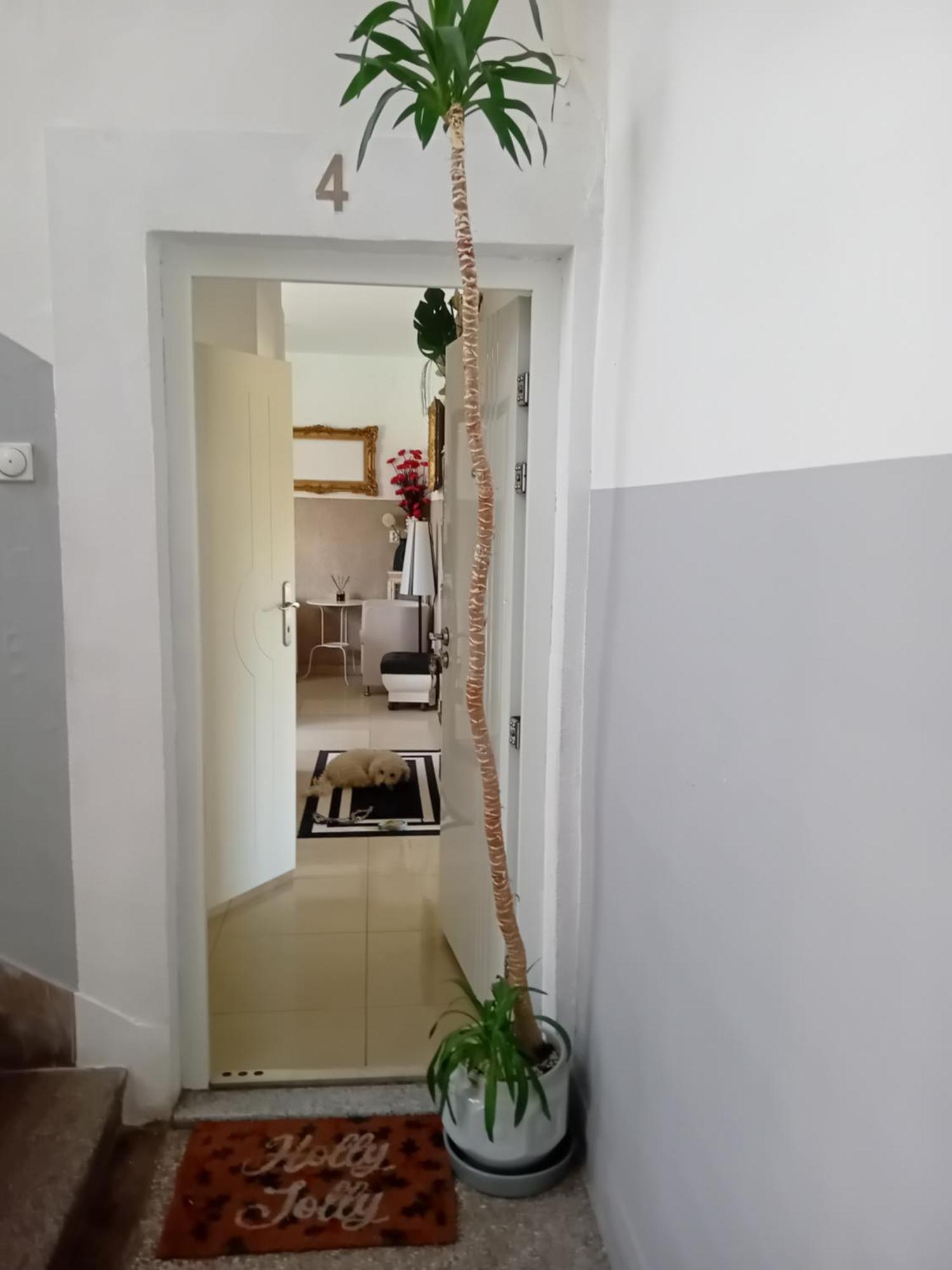 Apartment Top Centar بانيا لوكا المظهر الخارجي الصورة